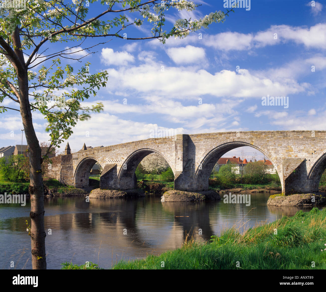 Stirling Bridge across the River Forth, Stirling City, Scotland, UK. Known locally as the Auld Brig Stock Photo