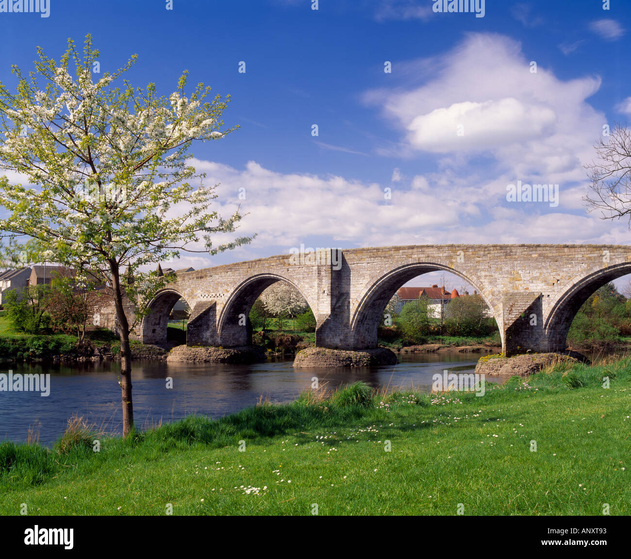 Stirling Bridge across the River Forth, Stirling City, Scotland, UK. Known locally as the Auld Brig Stock Photo