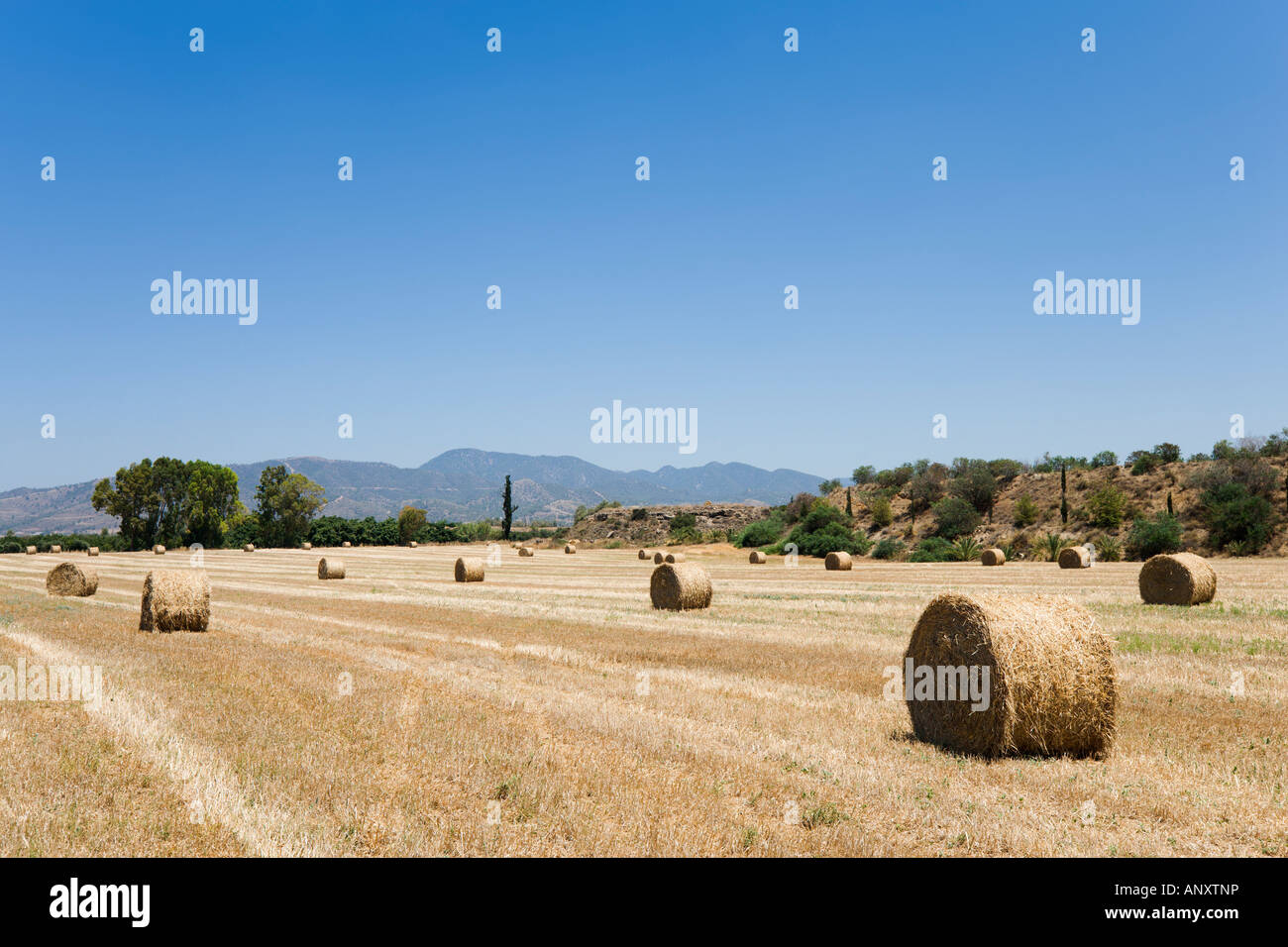 Local Countryside, Argaka, near Polis, North West Coast, Cyprus Stock Photo