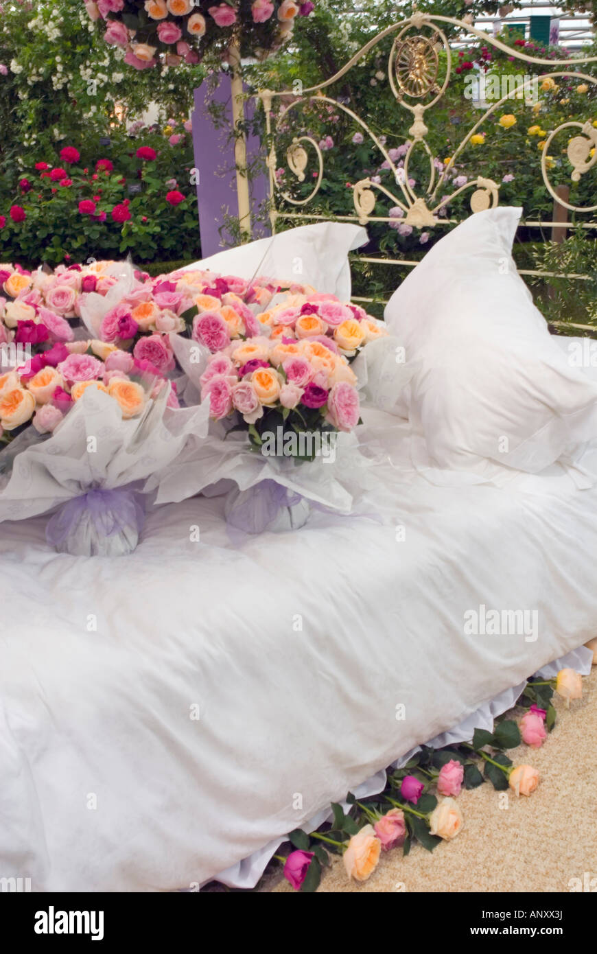 A bed of roses! Cut roses adorn an actual real freshly made bed in the garden setting inviting romance and romantic thoughts Stock Photo
