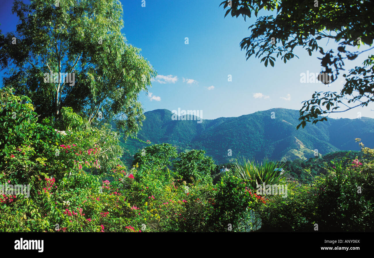 Blue Mountains Jamaica High Resolution Stock Photography and Images Alamy
