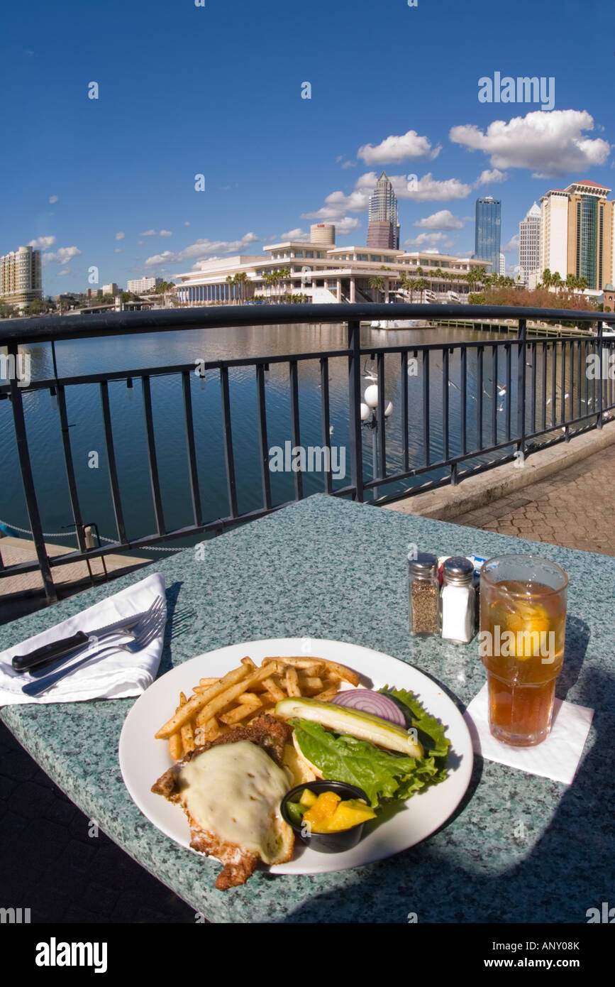 Fish sandwich lunch at outdoor cafe on the waterfront with the Tampa