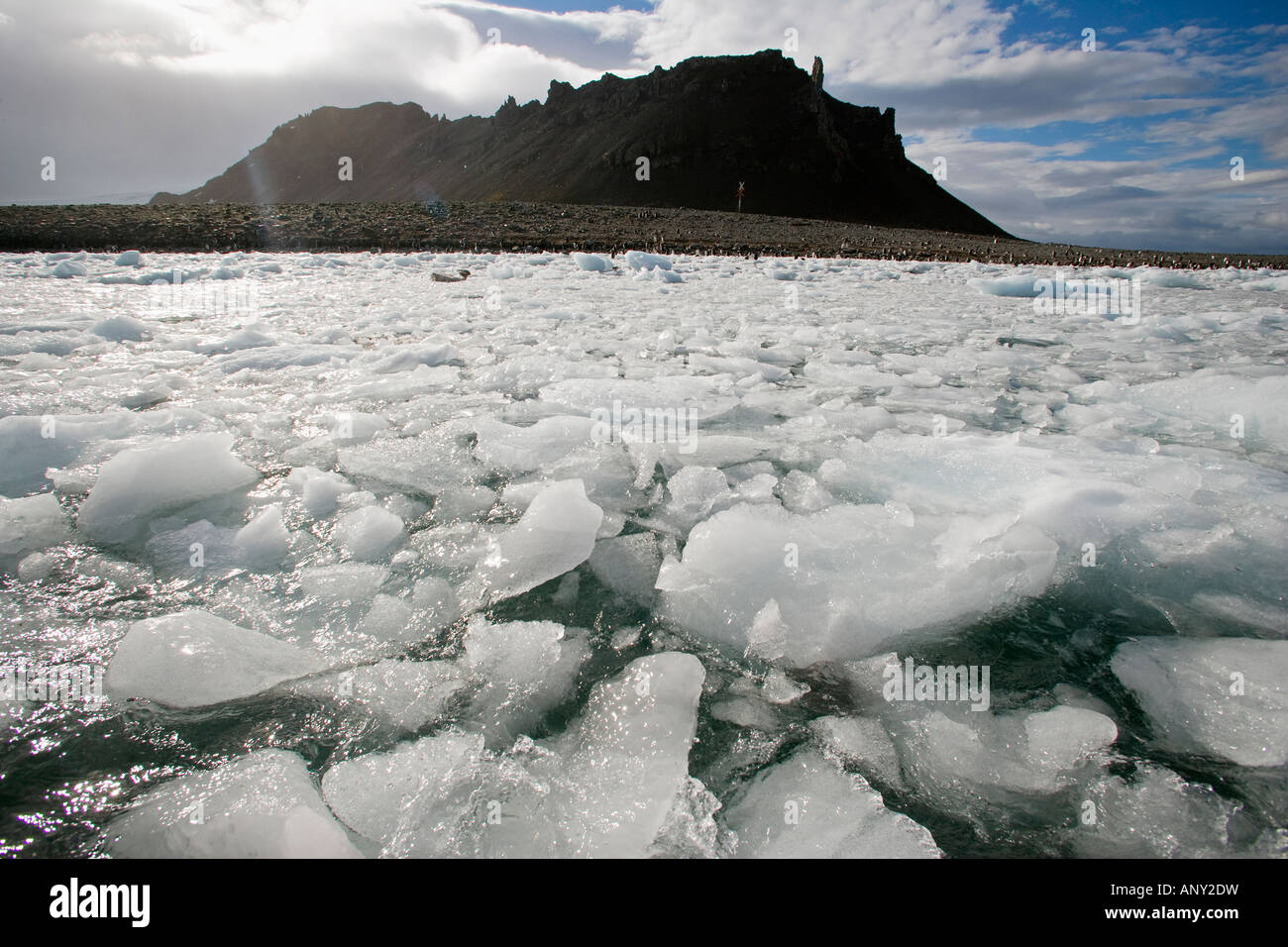 Antarctica, Antarctic Peninsula, Yankee Harbour. Dramatic light and