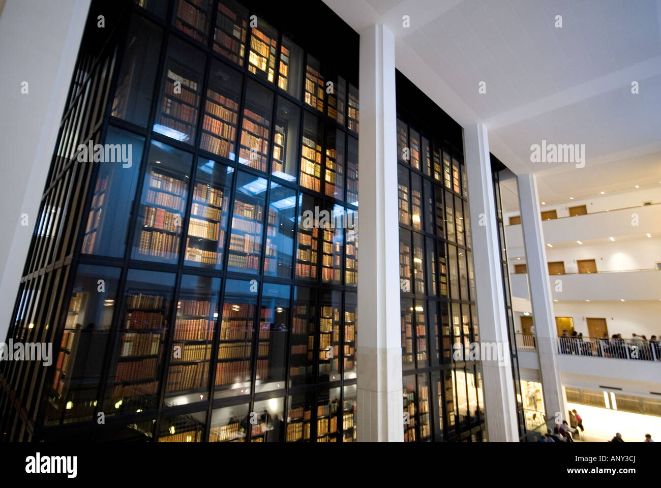 British Library inside with a enormous bookcase London Stock Photo Alamy