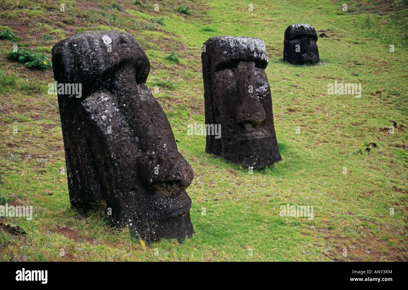 Chile, Easter Island, Rano Raraku. Moais - these are monolithic human figures carved from rock on Easter Island (Rapa Nui). Stock Photo