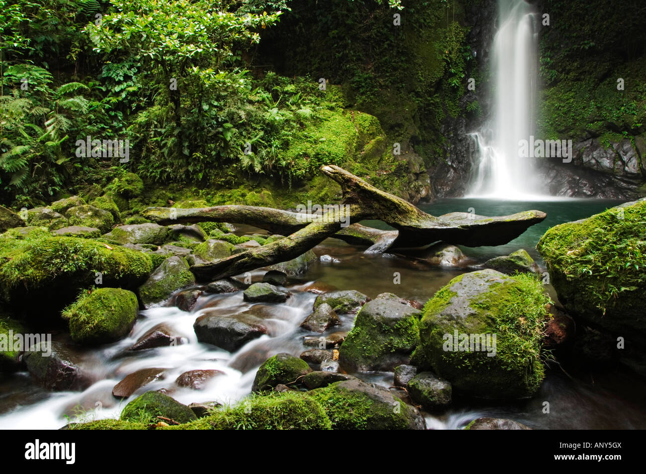 Philippines, South East Luzon, Bicol Province. Mount Isarog National Park - Malabsay Waterfall. Stock Photo