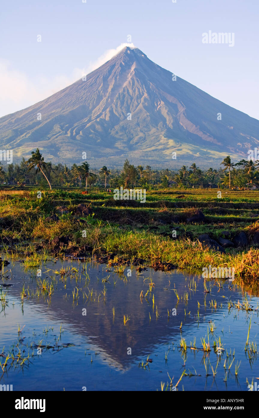 Philippines, Luzon Island, Bicol Province, Mount Mayon (2462m). Near perfect volcano cone with a plume of smoke. Stock Photo
