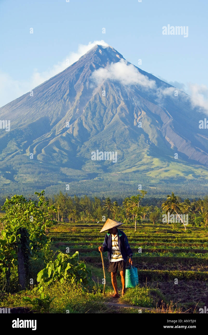 Philippines, Luzon Island, Bicol Province, Mount Mayon (2462m). Near perfect volcano cone with a plume of smoke. Stock Photo