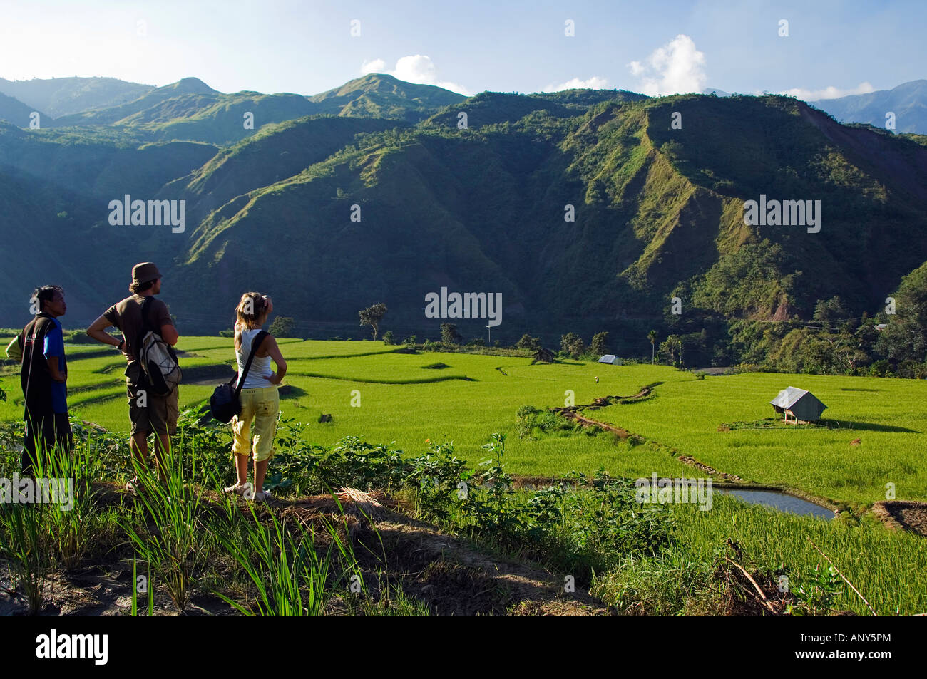 Philippines Luzon Island The Cordillera Mountains Kalinga Stock Philippines Luzon Island The Cordillera Mountains Kalinga Stock