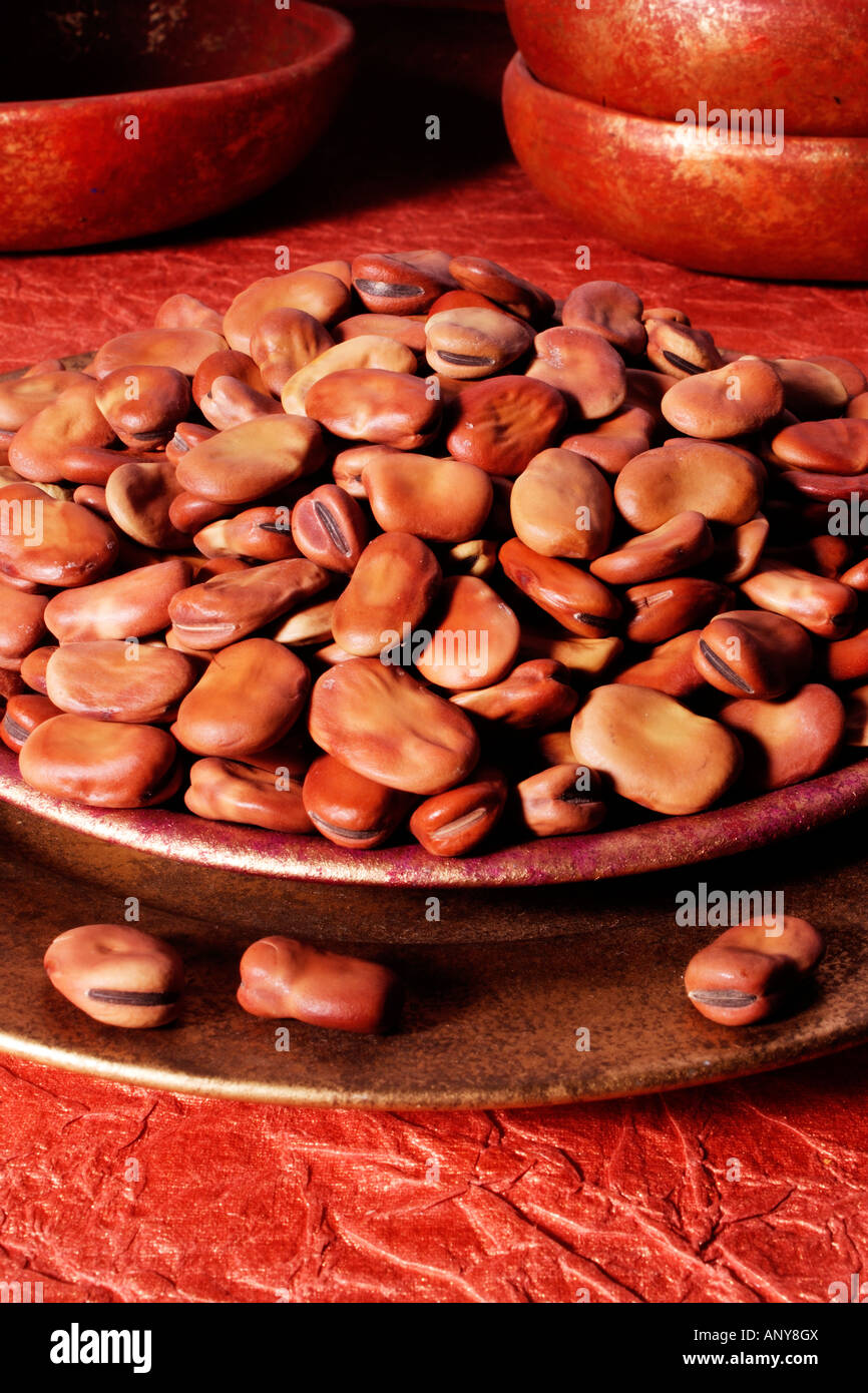 BOWL OF DRIED BROAD BEANS Stock Photo Alamy