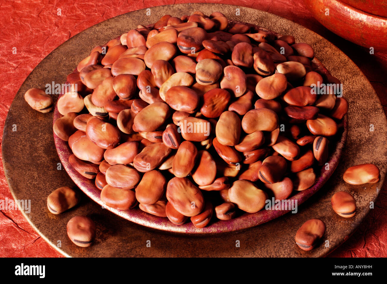 BOWL OF DRIED BROAD BEANS Stock Photo Alamy