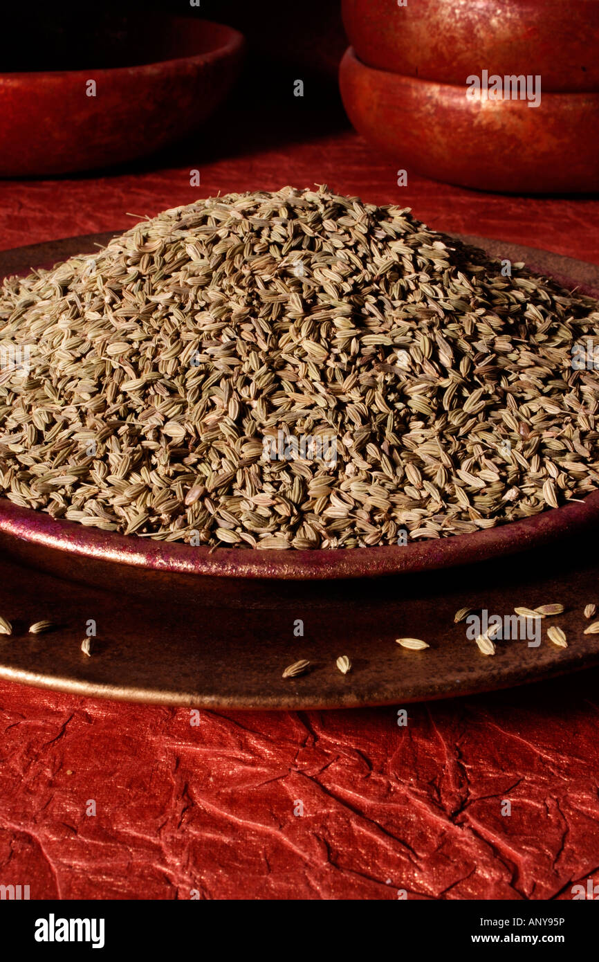 BOWL OF DRIED FENNEL Stock Photo Alamy