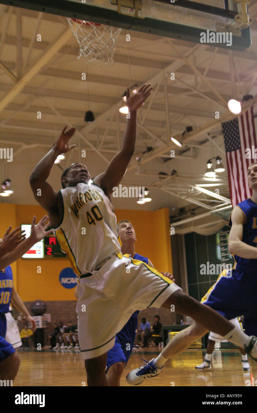 Wayne State University Men's Basketball Stock Photo