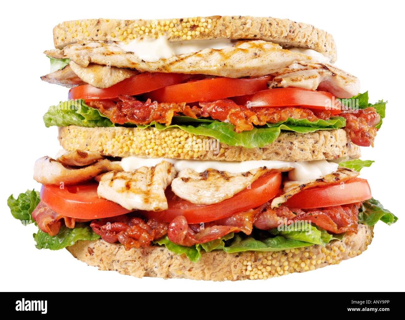 CLUB SANDWICH CUT OUT Stock Photo Alamy