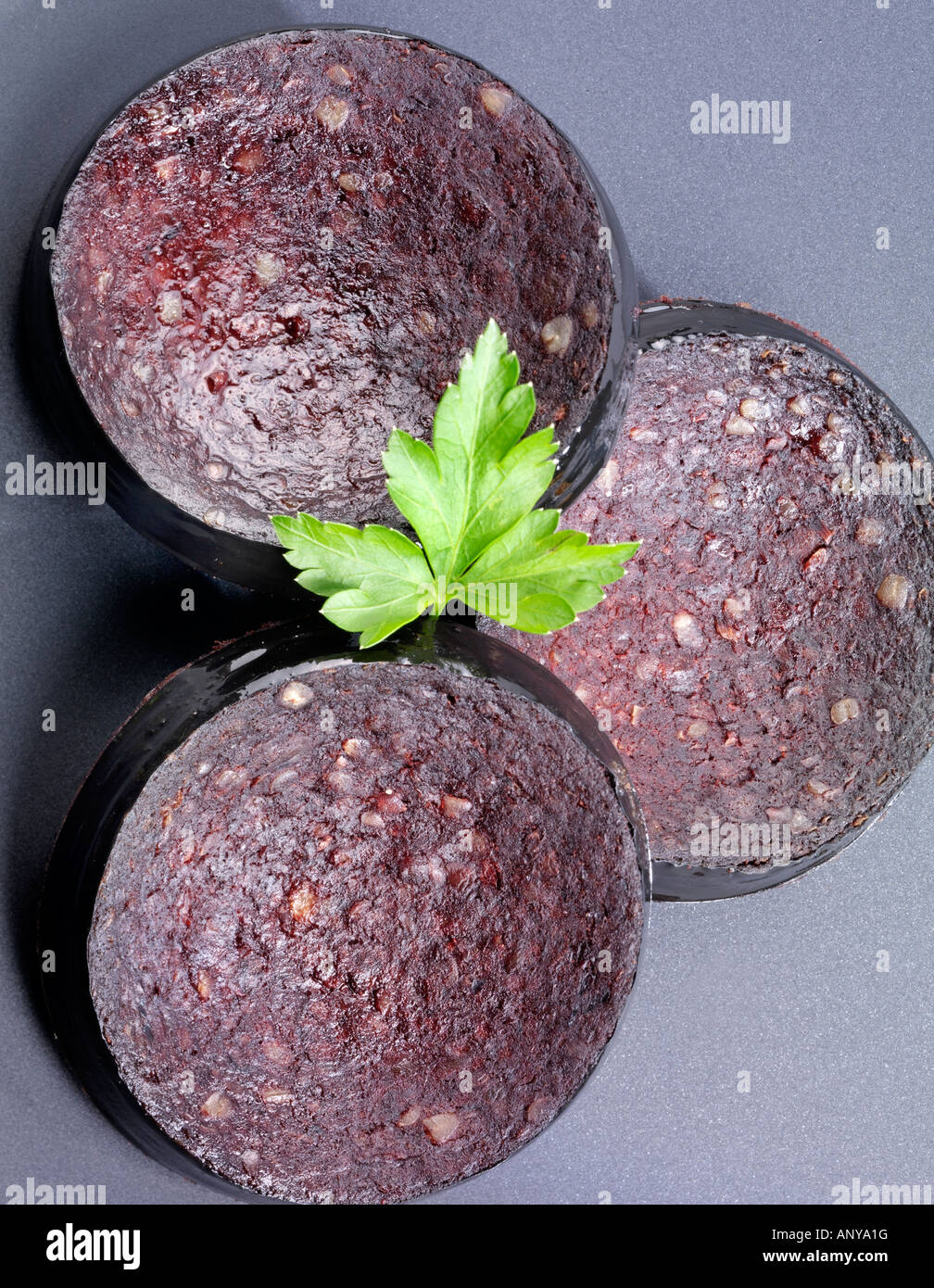SLICED BLOOD PUDDING Stock Photo Alamy