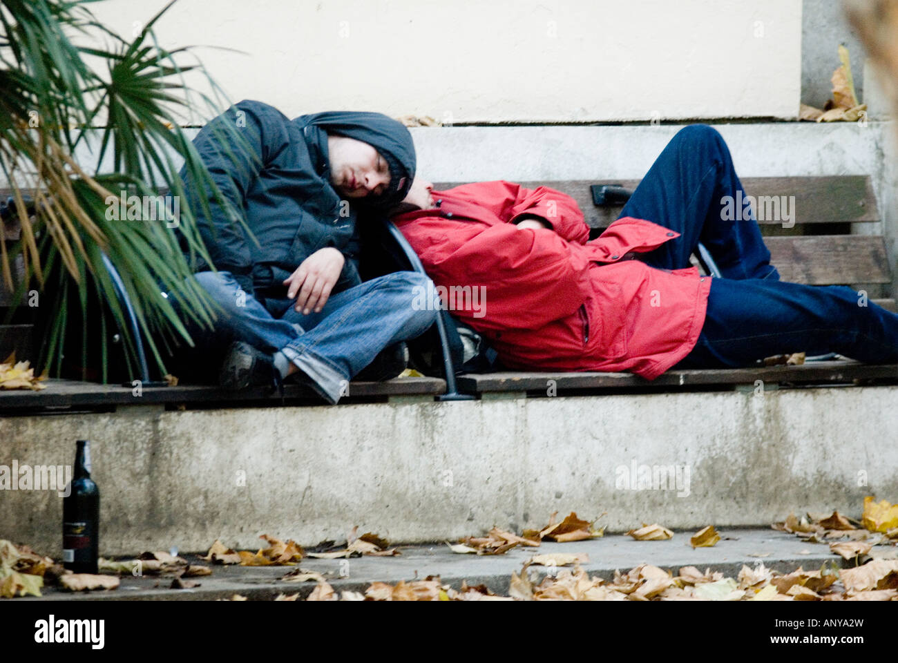 young tramps sleeping on a bench with a bottle of wine in London Stock Photo