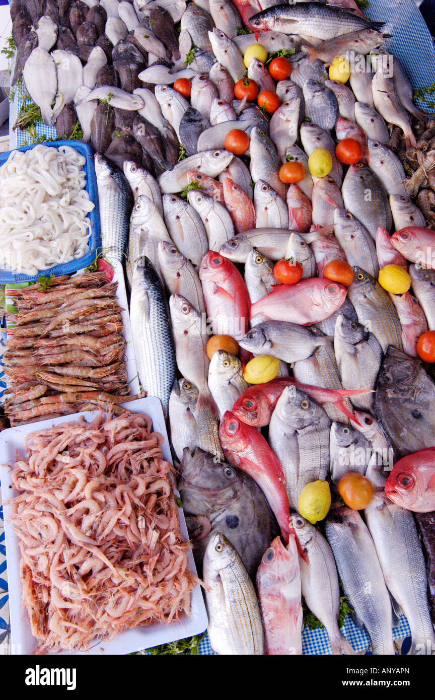 Real fish market and fresh fish, seafood from Atlantic ocean in Morocco  Stock Photo - Alamy