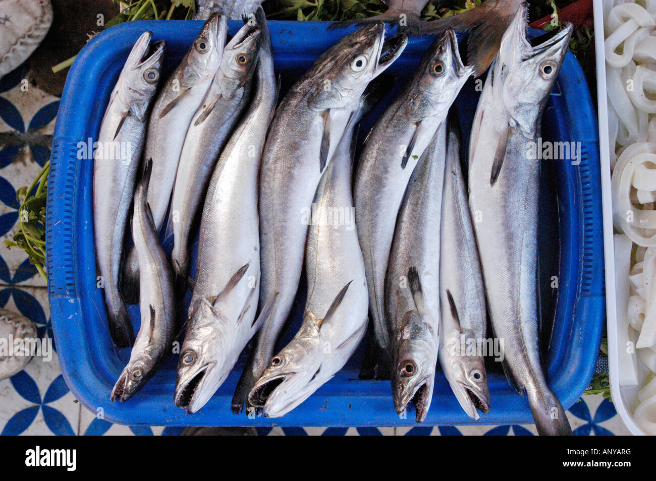 FRESH SARDINES ON MARKET STALL Stock Photo Alamy