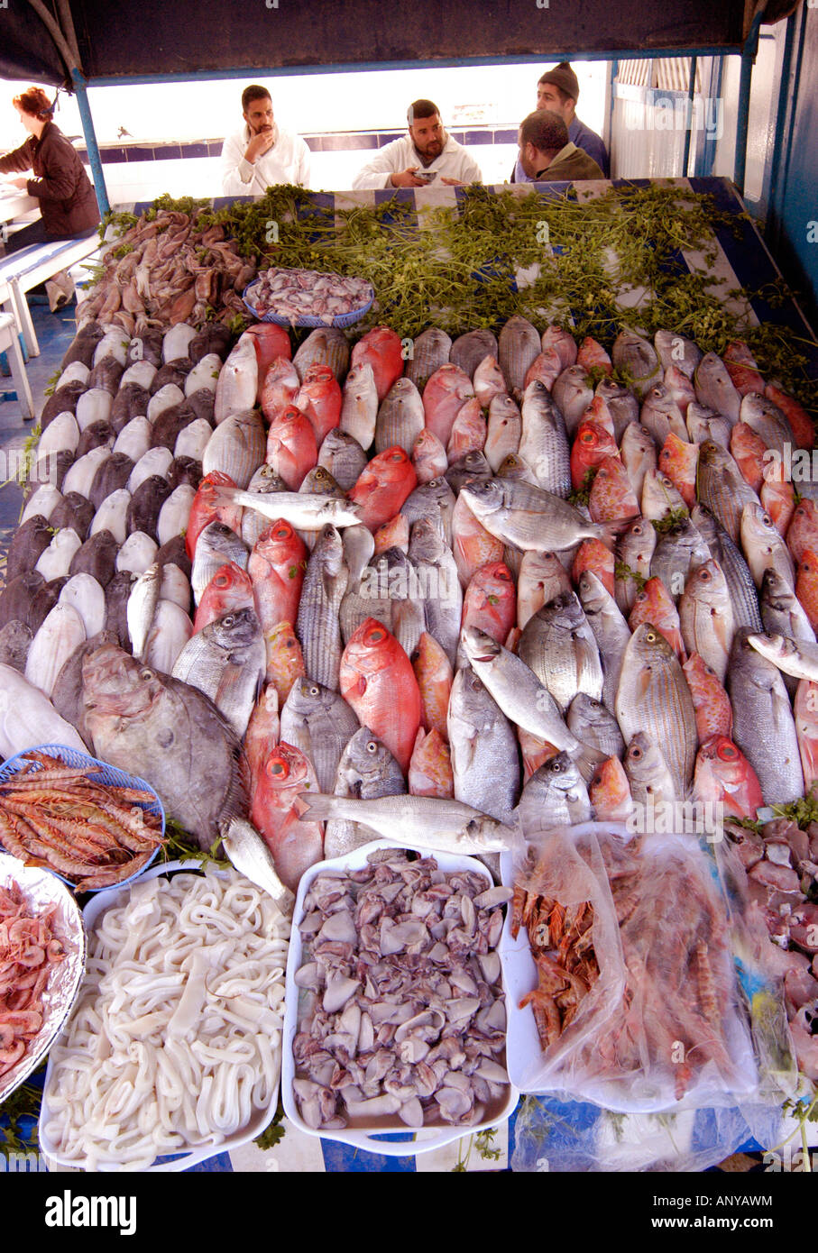 Real fish market and fresh fish, seafood from Atlantic ocean in Morocco  Stock Photo - Alamy