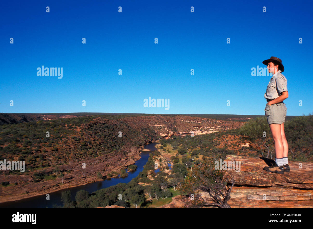 Australia, Western Australia, Kalbarri National Park, The Loop, Murchison River (MR) Stock Photo
