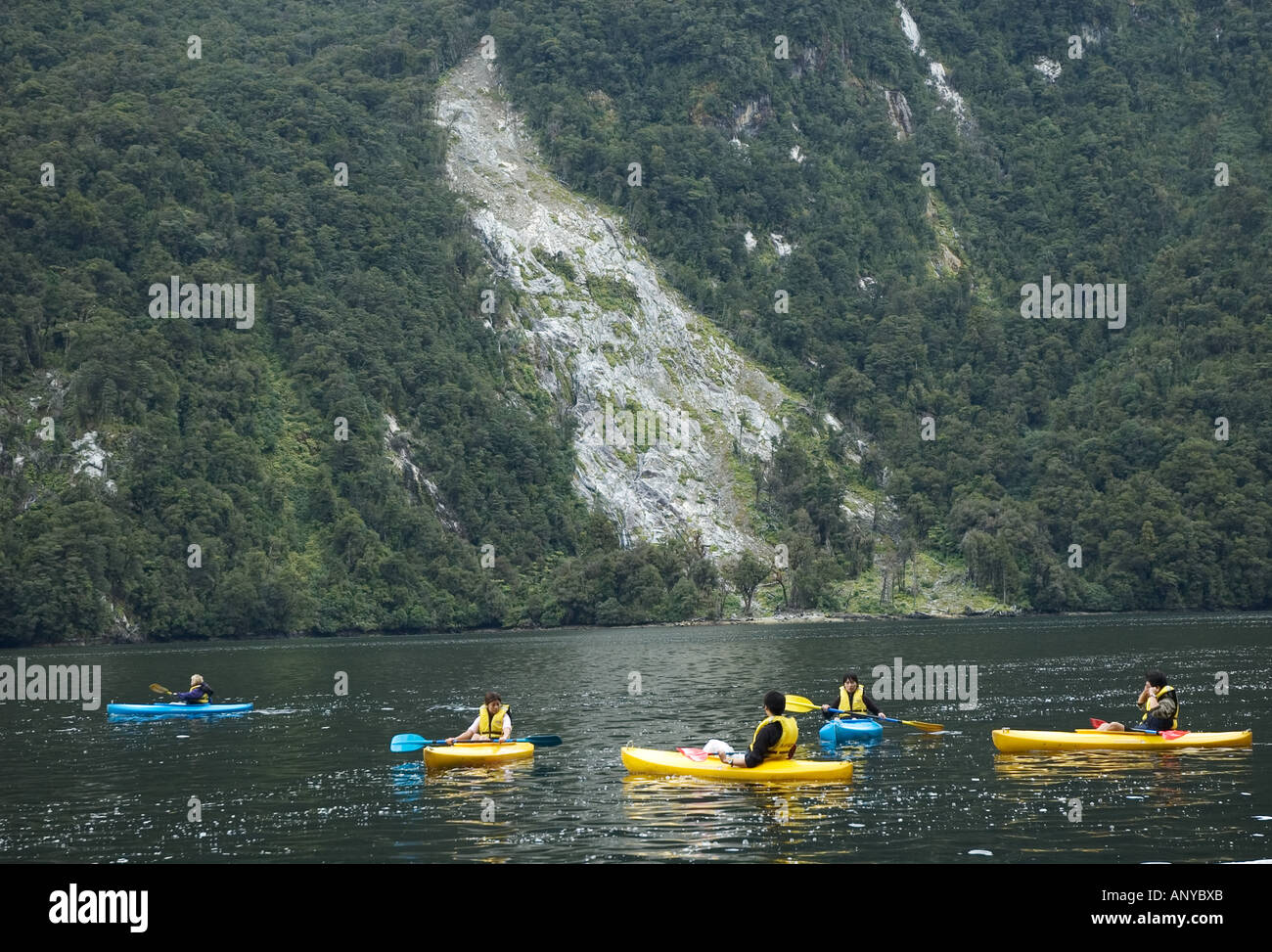 Kayakers on Doubtful Sound, New Zealand Stock Photo