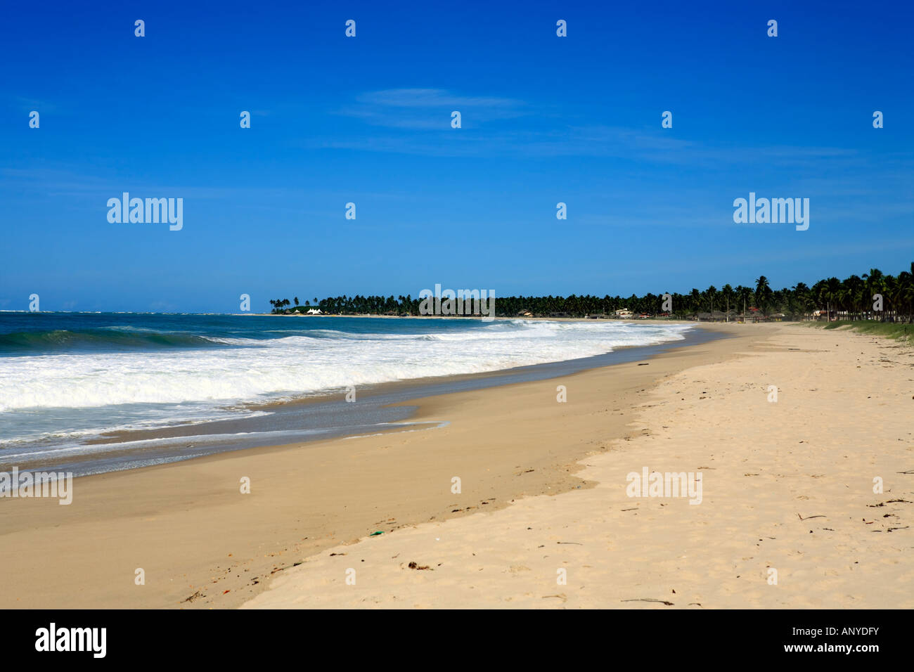 beautiful beach of maracaipe near recife pernambuco state brazil Stock Photo