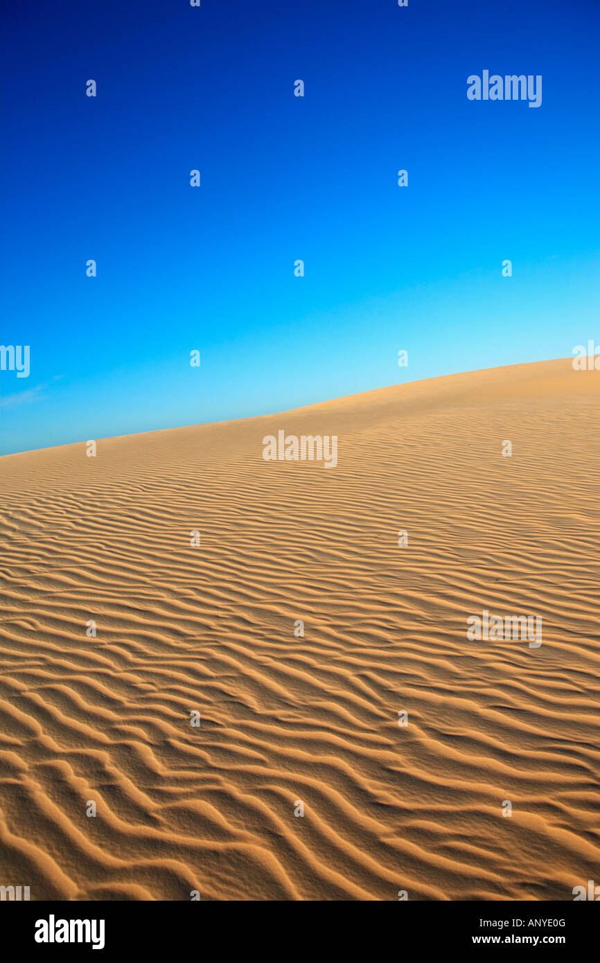 ripples of sand dune of cumbuco in ceara state brazil Stock Photo