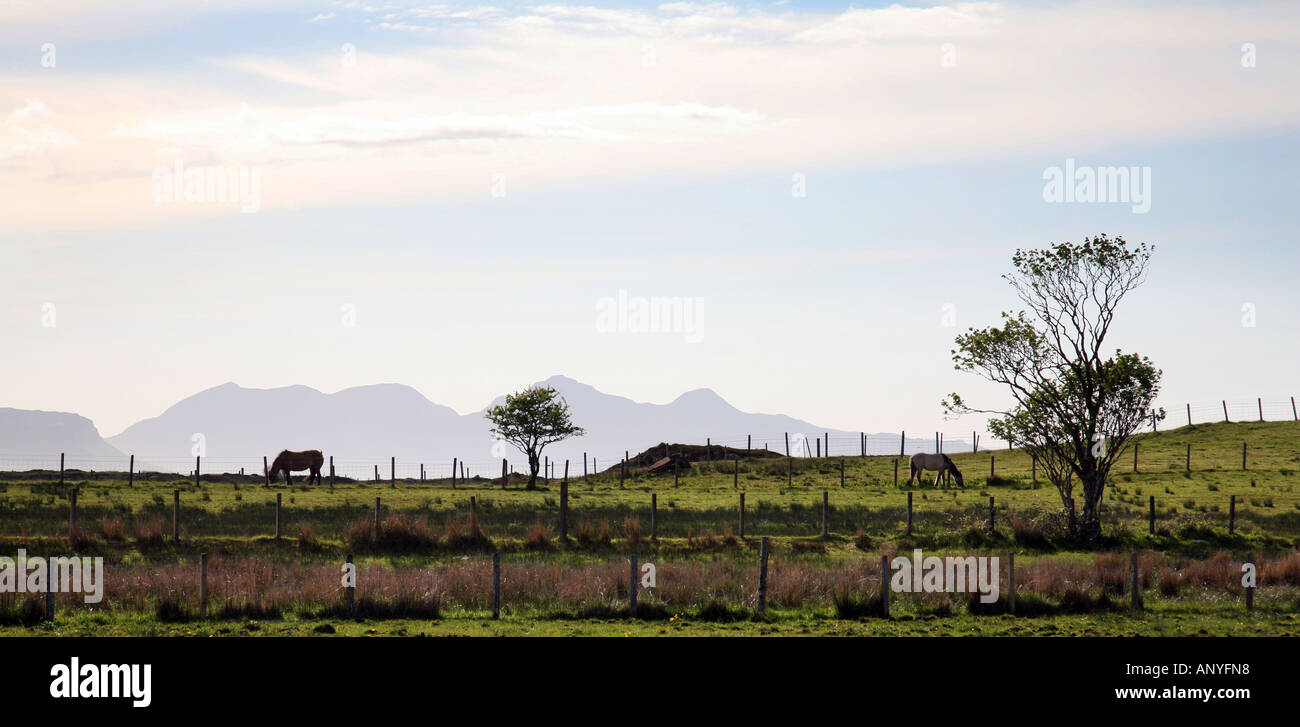 Arisaig, Scotland, looking out over the sea to the Western Isles of Rum and Eigg in the distance, evening light Stock Photo