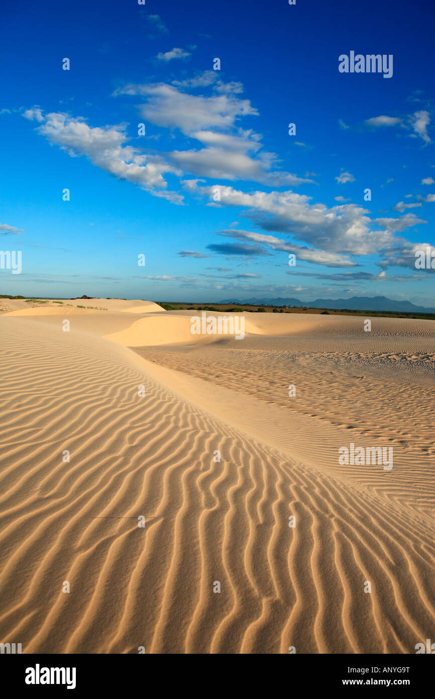 ripples of sand dune of cumbuco near fortaleza in ceara state brazil Stock Photo