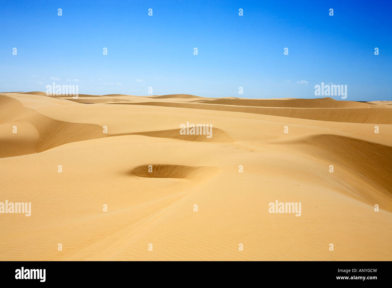 desert sand dunes of the Lencois Maranheses National Park Stock Photo