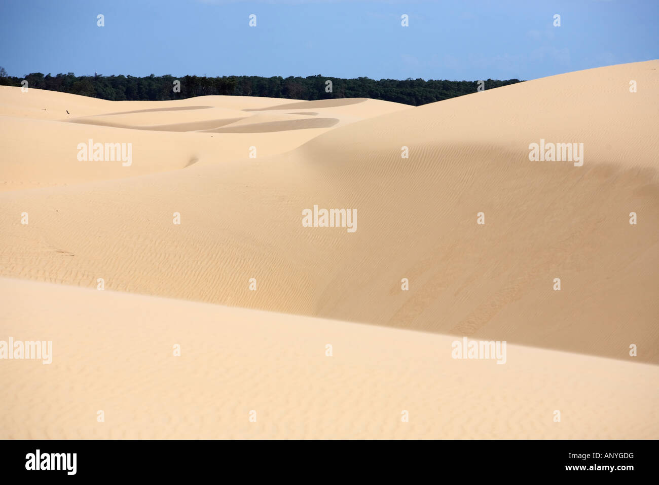 desert sand dunes of the Lencois Maranheses National Park Stock Photo