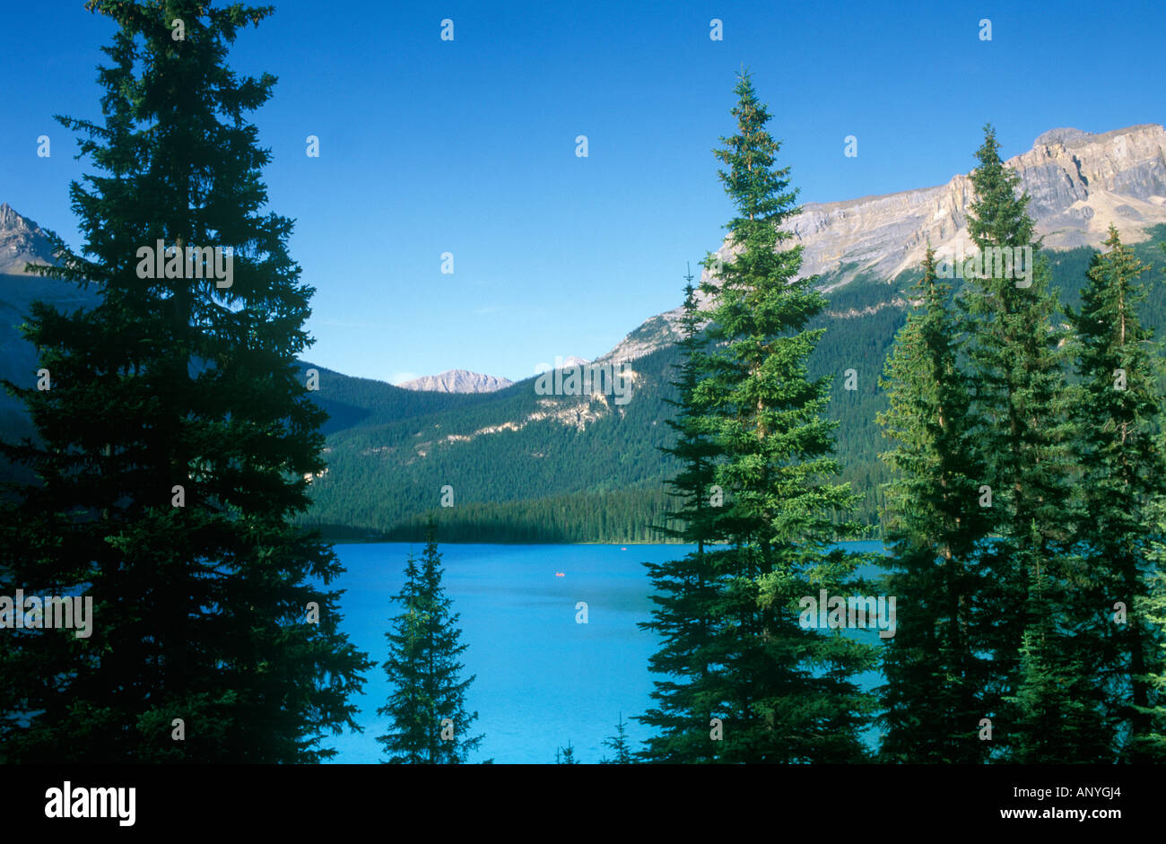 Canada, British Columbia, Yoho National Park, Emerald Lake Stock Photo