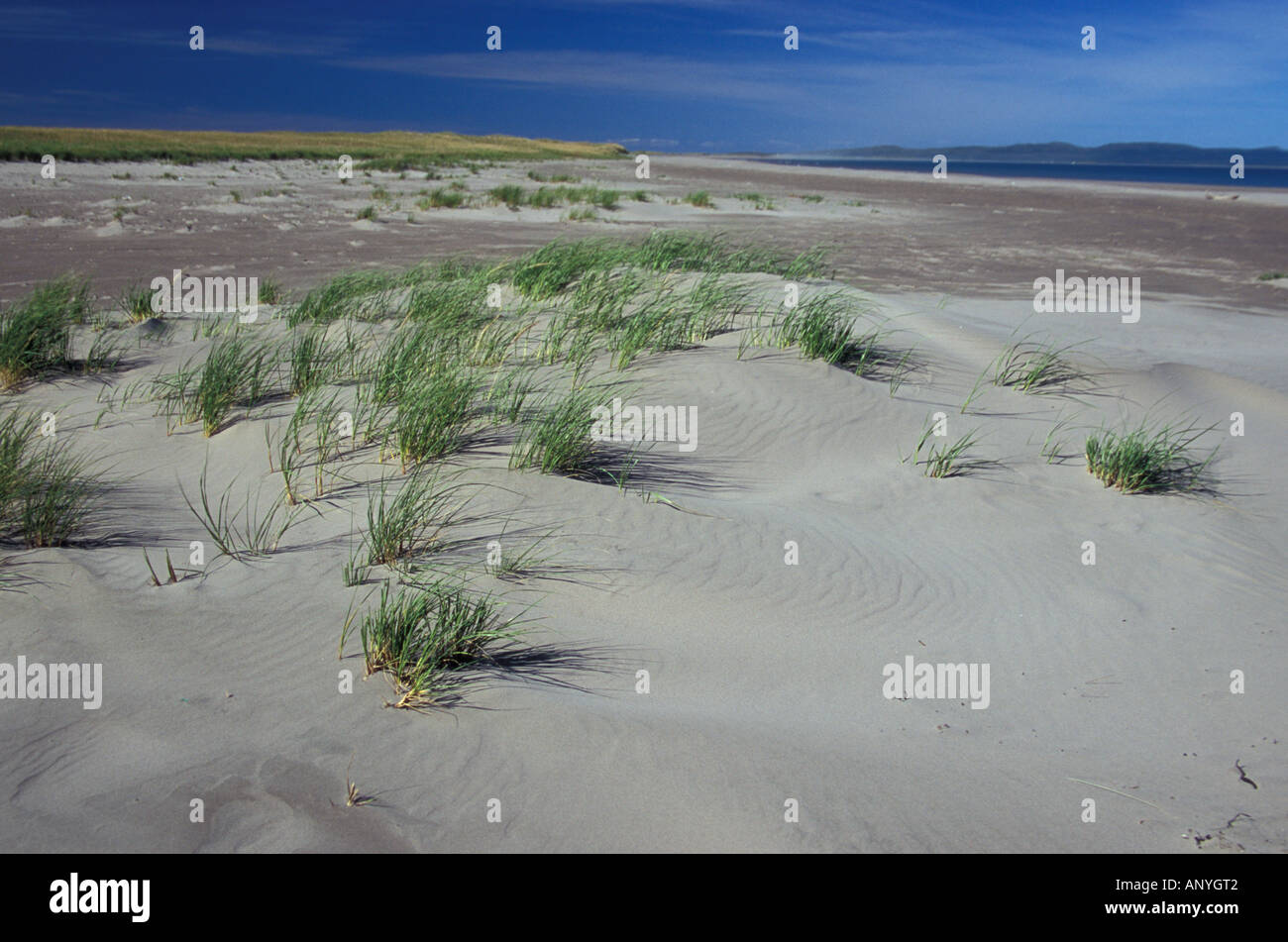 North America, Canada, Miquelon and St. Pierre, Miquelon Island, beach
