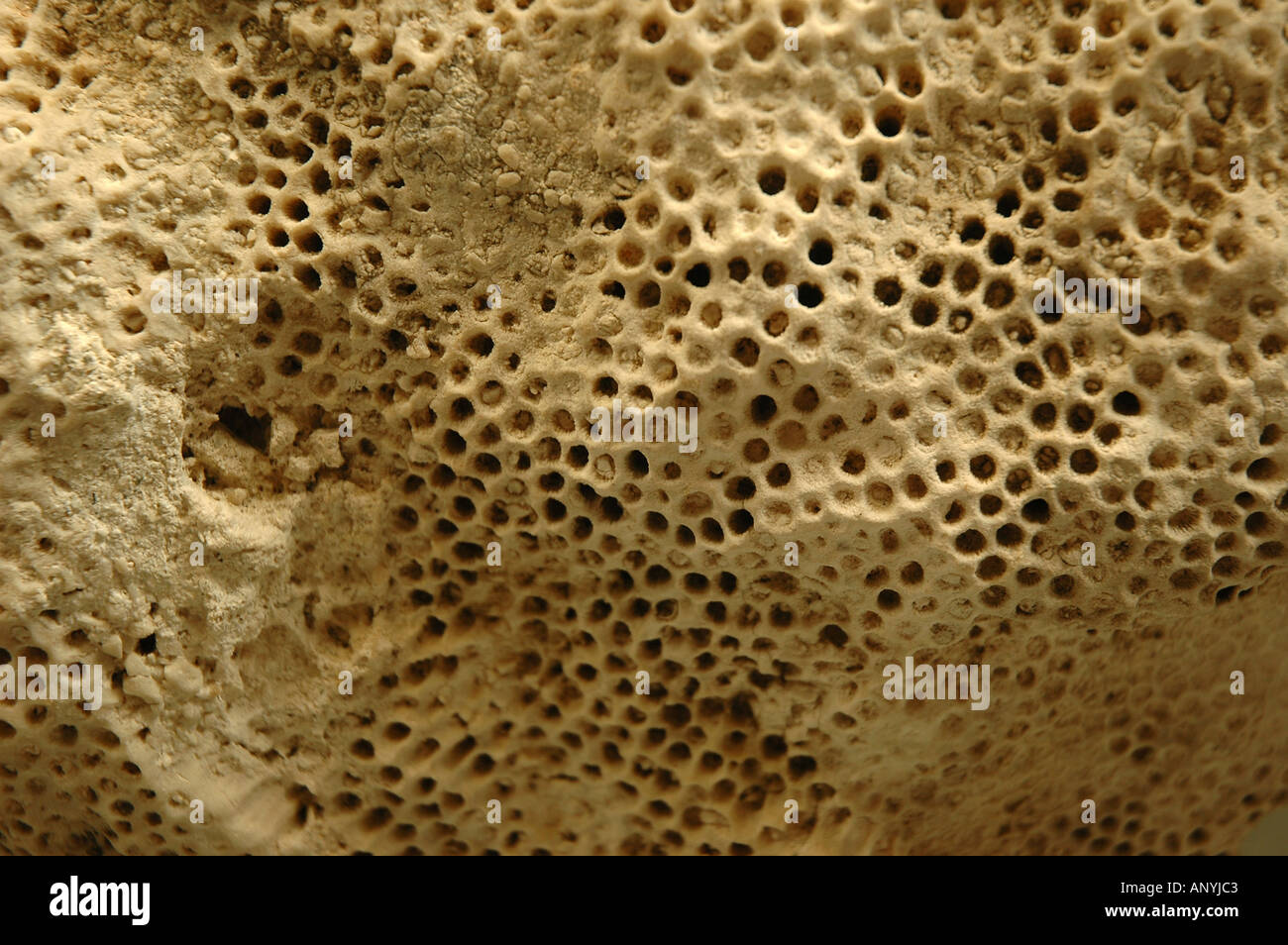 nature mineral Kardjaly Bulgaria Stock Photo - Alamy