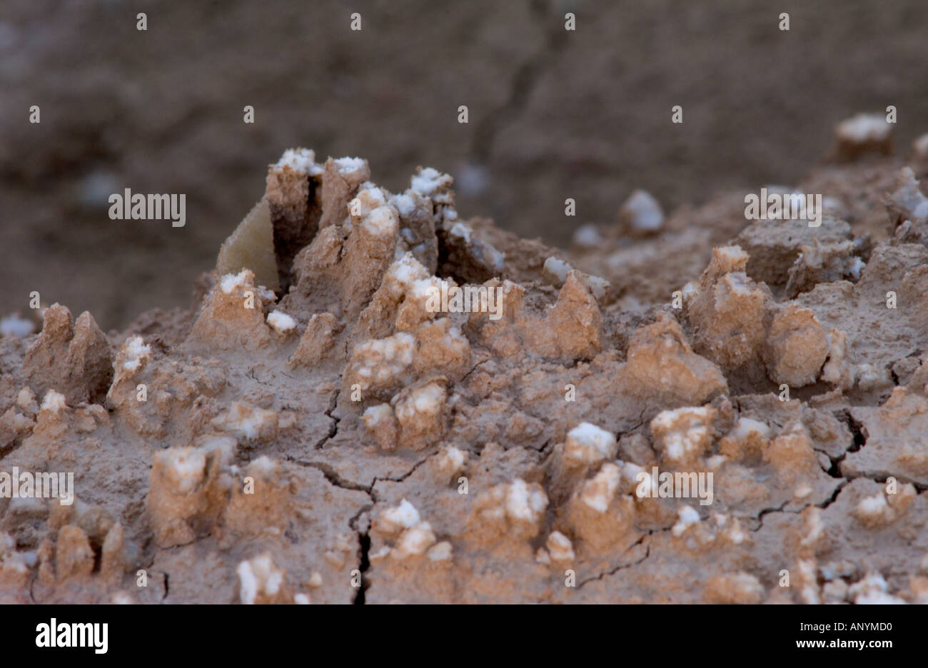 small salt grain masses