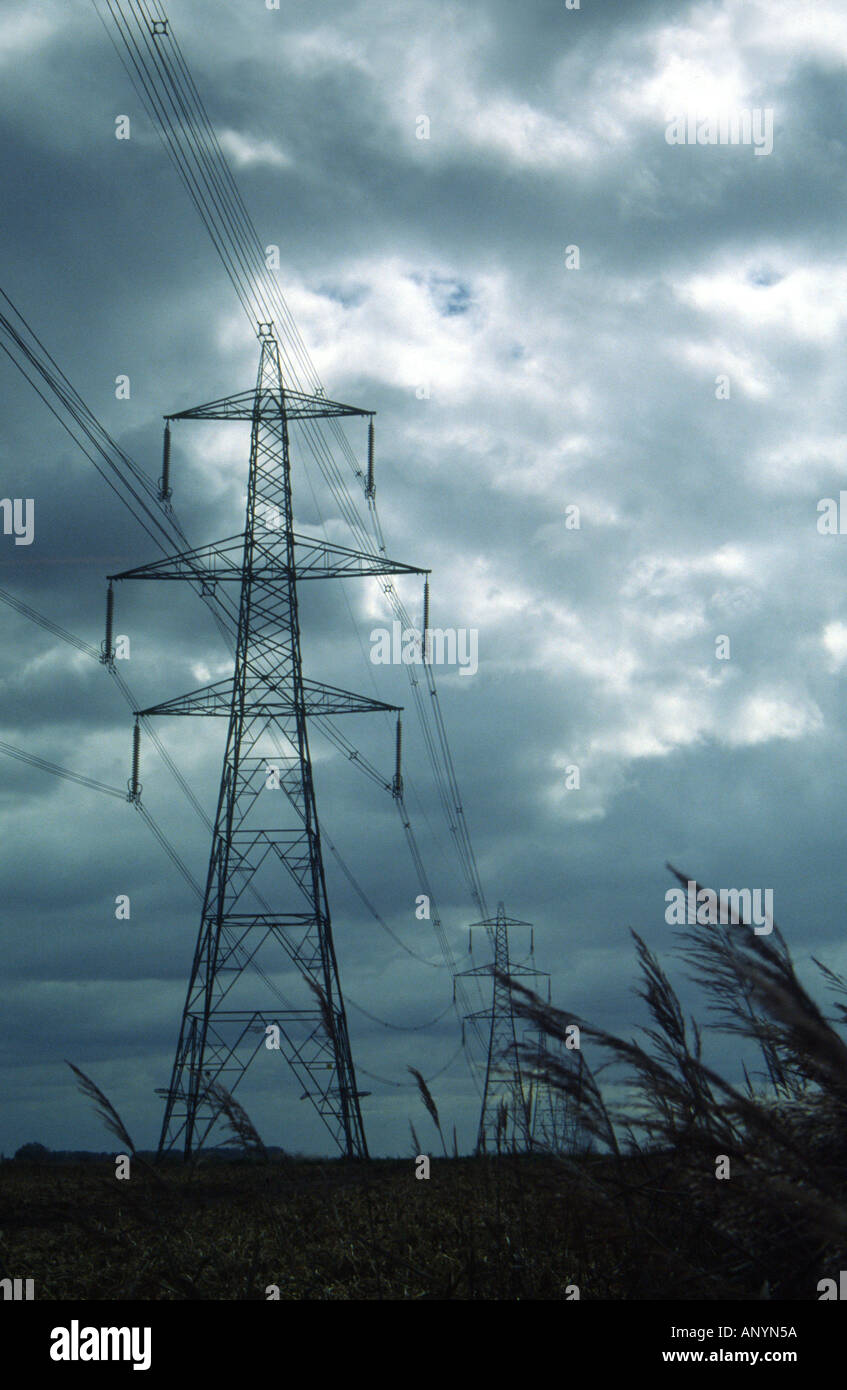 Pylons in a field in Norfolk on a cloudy day Stock Photo
