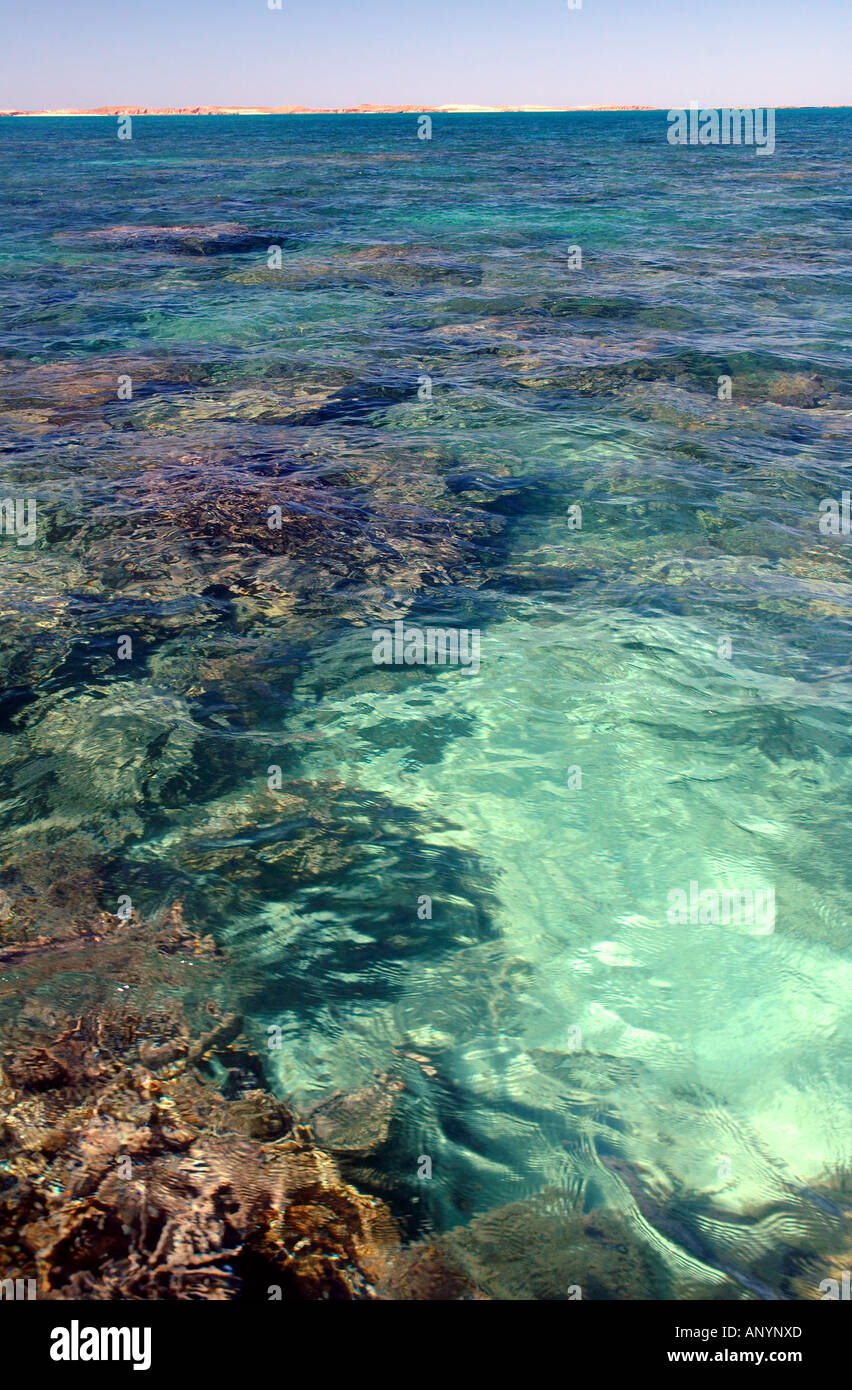 Healthy coral lagoon in the Montebello Barrow Island Marine Conservation Reserve, Pilbara region, Western Australia Stock Photo