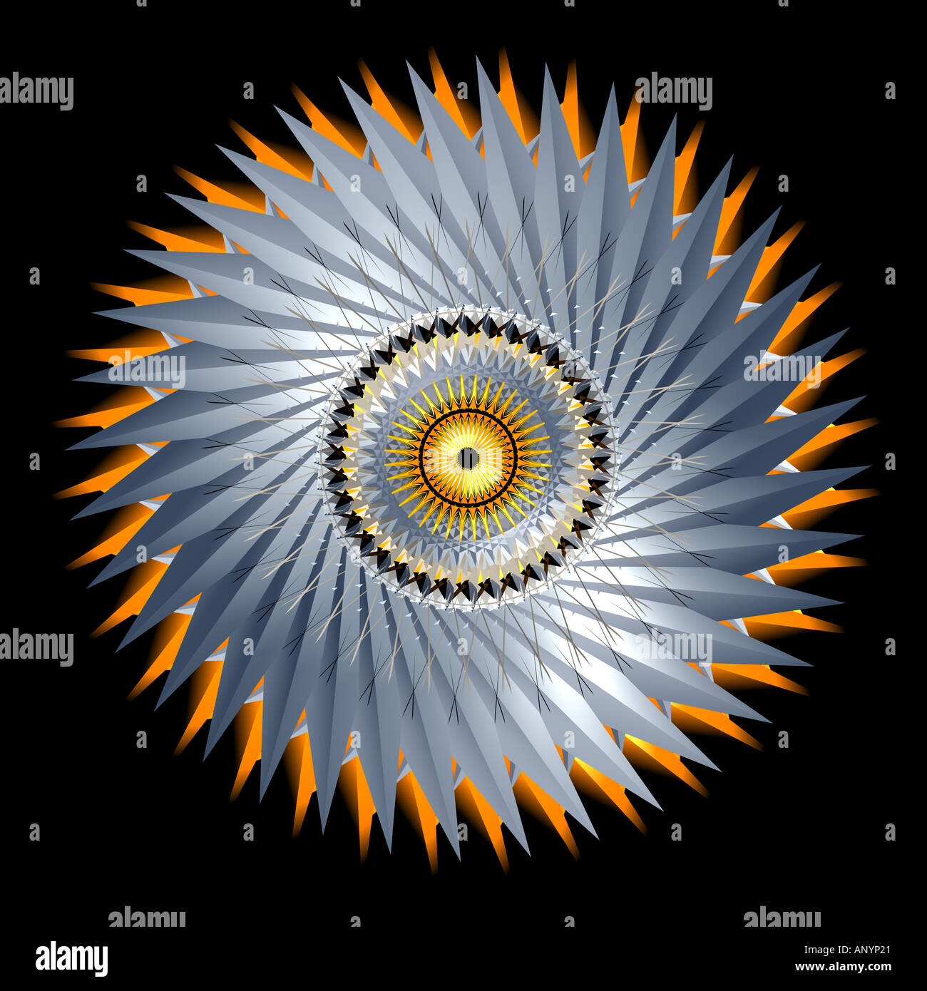 High detailed picture hi-res stock photography and images - Alamy