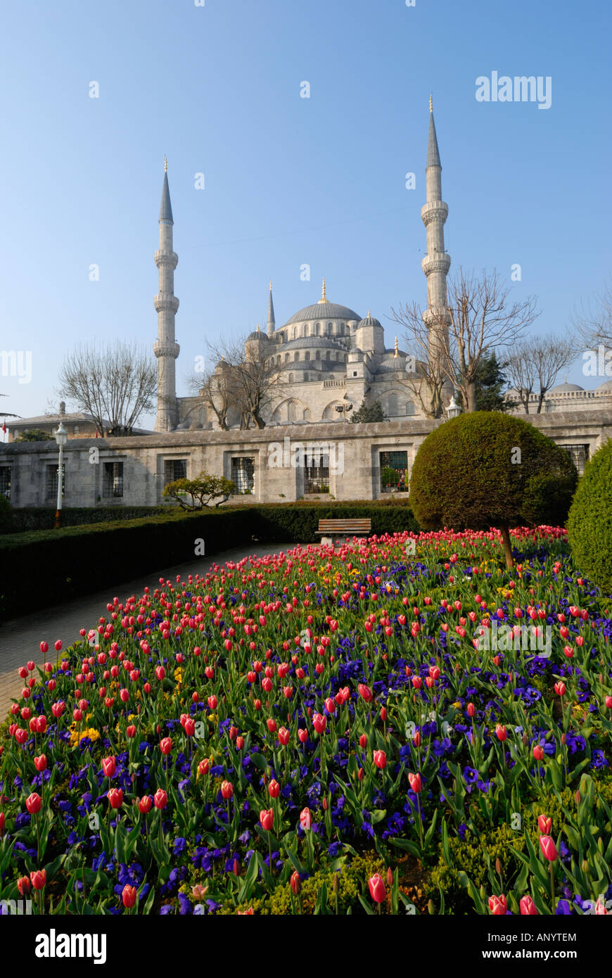 Sultanahmet Camii Blue Mosque Istanbul Turkey Stock Photo - Alamy