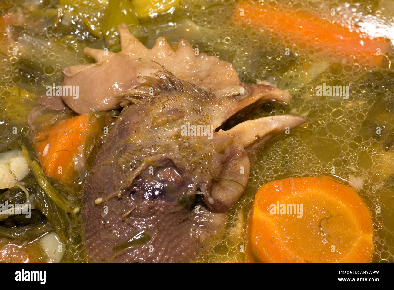 A hen's head emerging from the Boiled Chicken stock (France). Tête de volaille émergeant du bouillon d'une Poule au Pot (France) Stock Photo