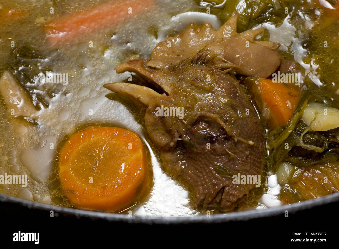 A hen's head emerging from the Boiled Chicken stock (France). Tête de volaille émergeant du bouillon d'une Poule au Pot (France) Stock Photo