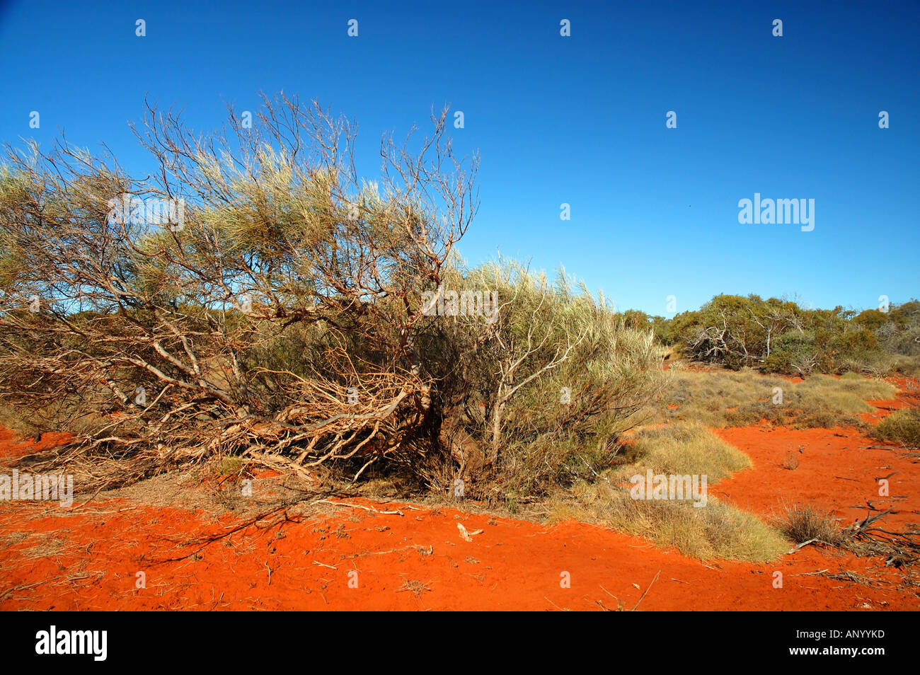 Arid scrublands hires stock photography and images Alamy Arid scrublands hires stock photography and images Alamy