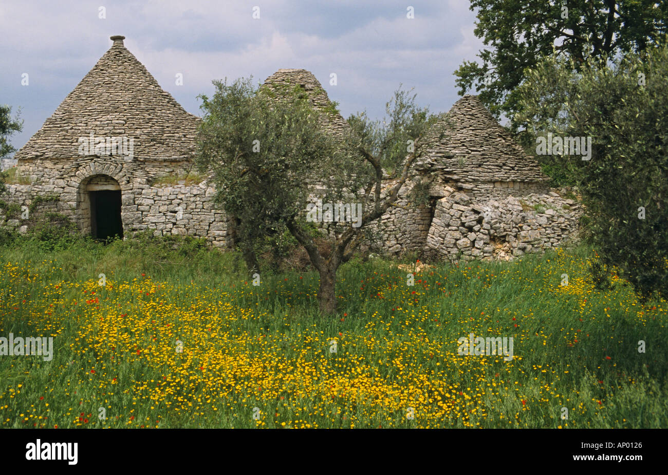 Italian Storage Building Italy Puglia Trulli Region Trulli style farm storage buildings Stock ...