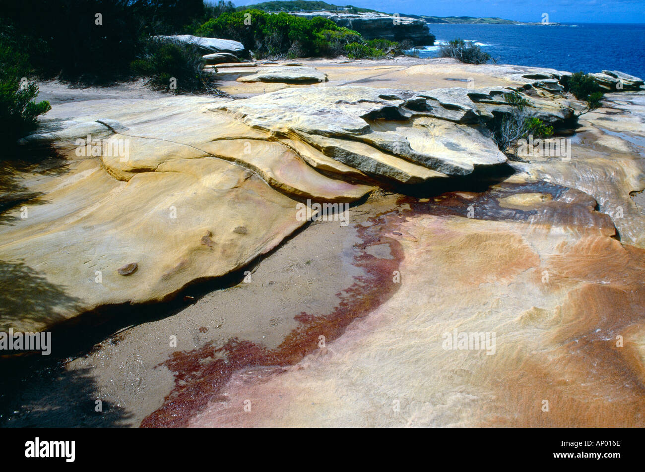 Botany Bay National Park NSW Australia Cape Solander Sandstone Cliff Tops Stock Photo