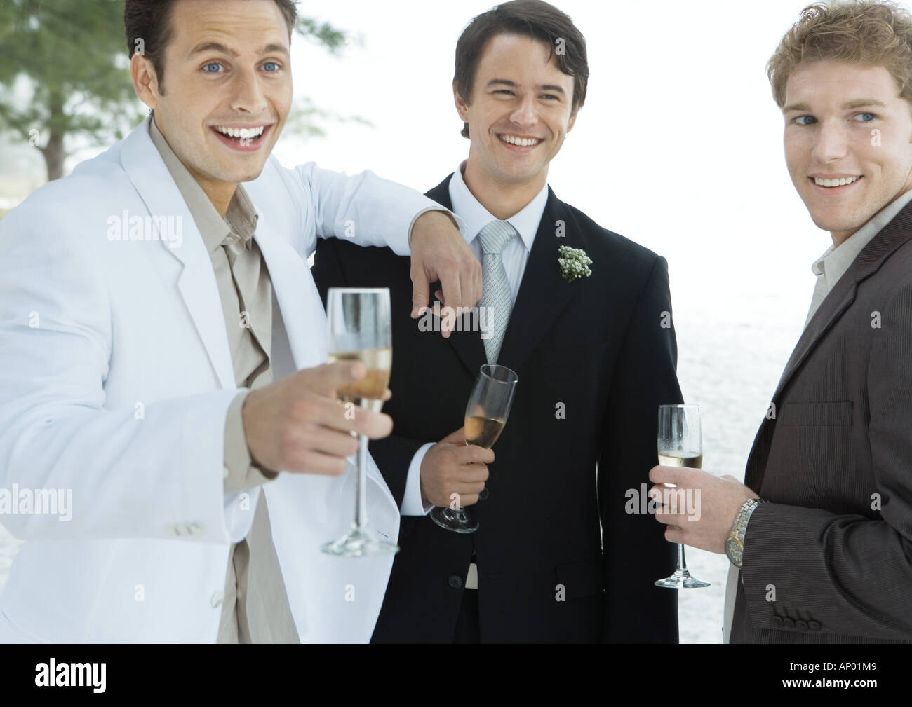 Groom standing with two male friends Stock Photo