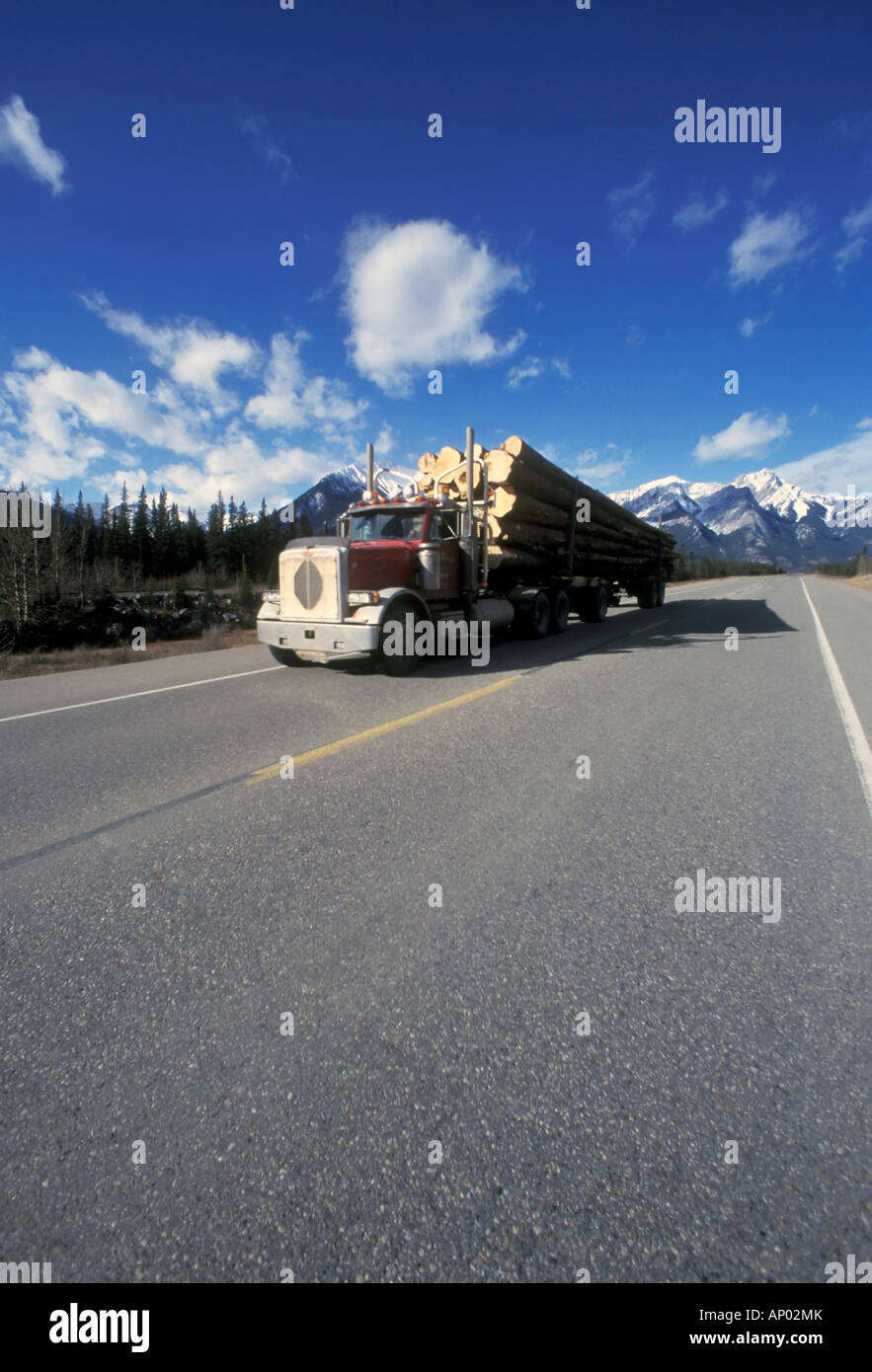 Logging truck on Alberta Highway 16, outside Jasper,Alberta, Canada Stock Photo Alamy
