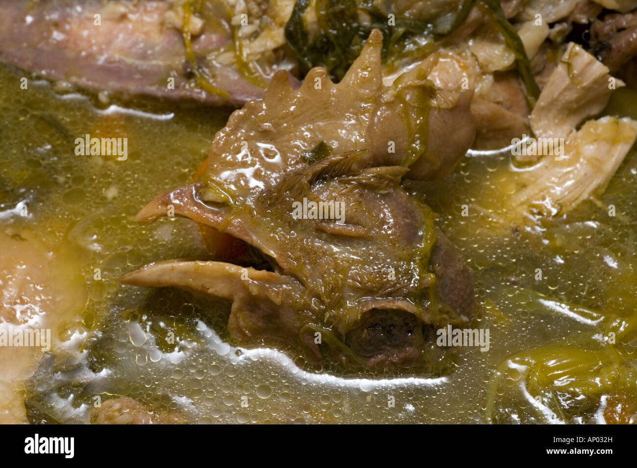 A hen's head emerging from the Boiled Chicken stock (France). Tête de volaille émergeant du bouillon d'une Poule au Pot (France) Stock Photo