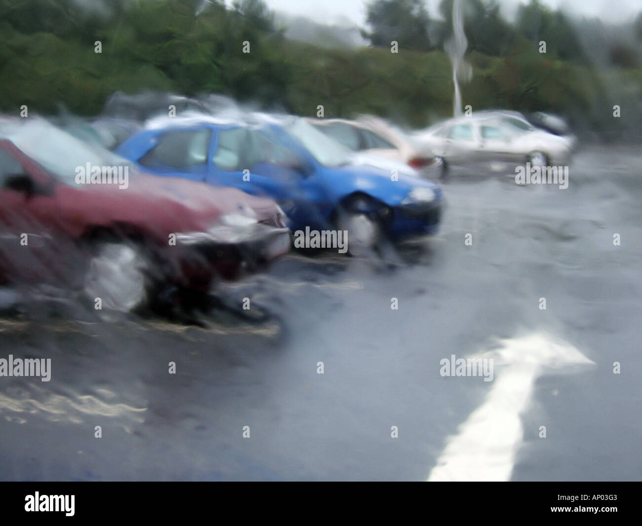 cars in wet parking lot Stock Photo - Alamy