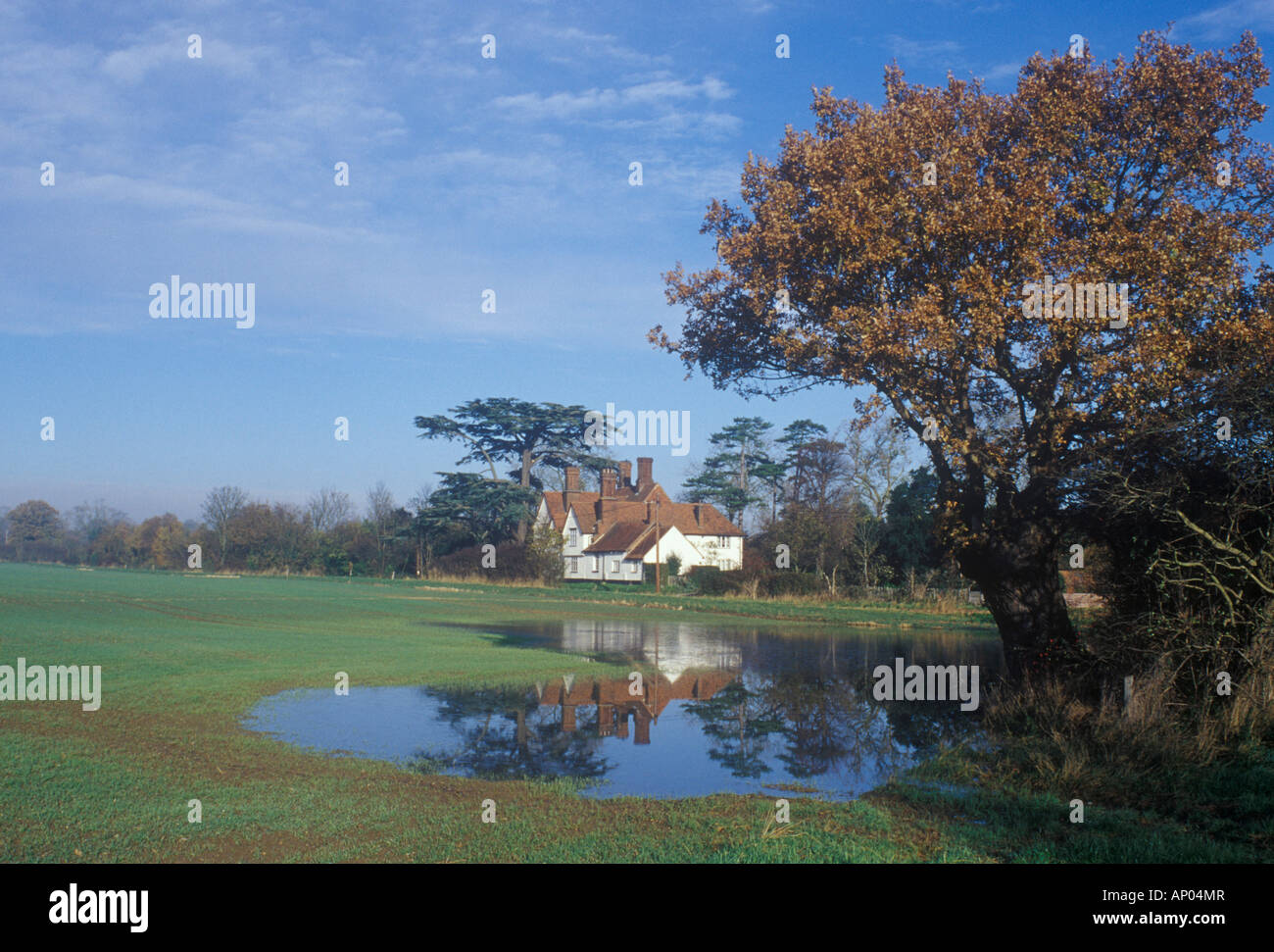 Abbess Roding Farmhouse, Essex, UK Stock Photo - Alamy