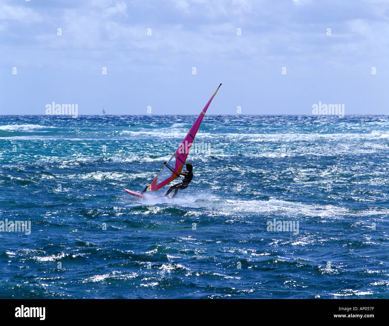 Windsurfing North Shore Oahu Hawaii USA Stock Photo Alamy